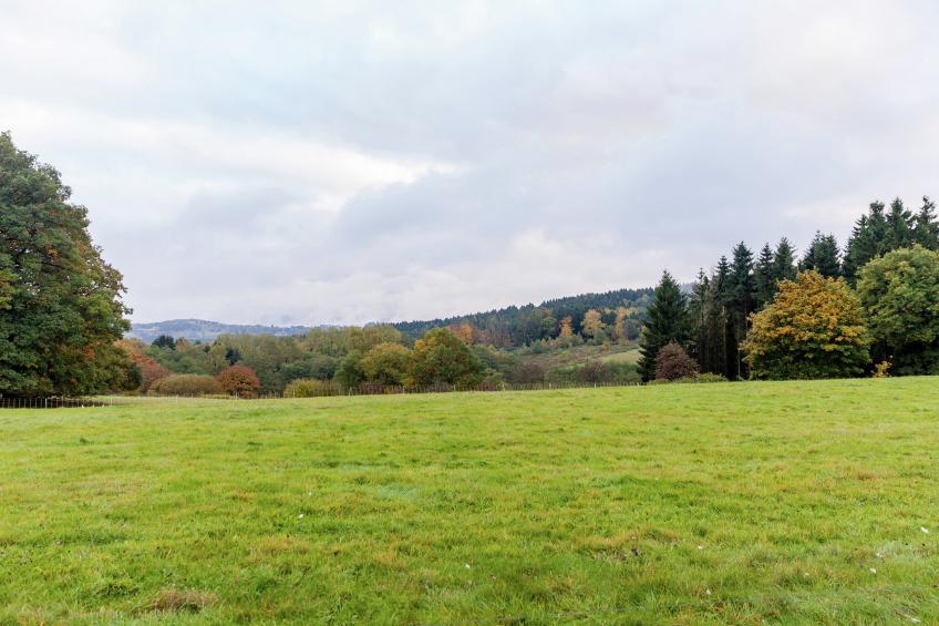 Goebel - foto 33