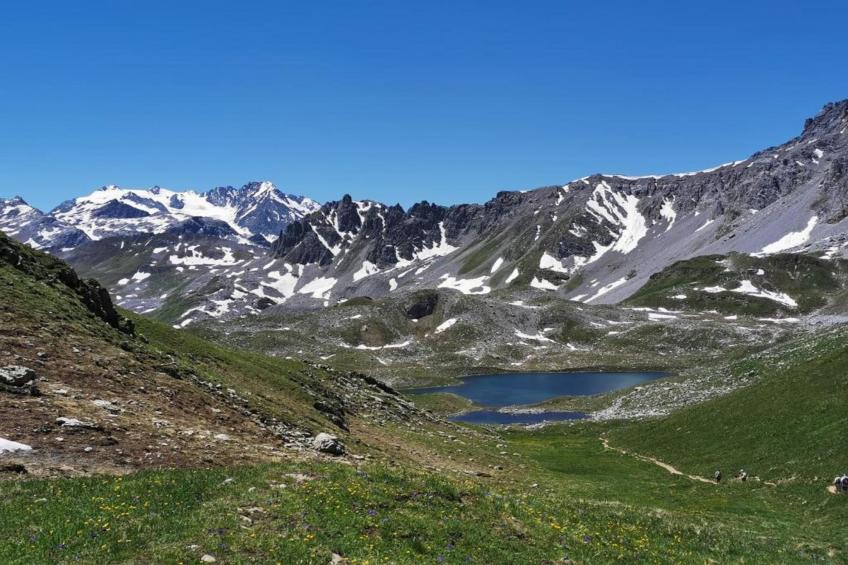 Chez Dominique - foto 29