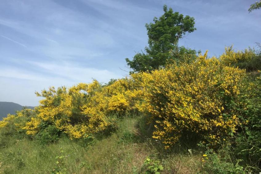 Lucia e Renzo - foto 37