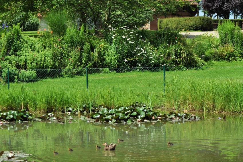 für 8 Personen - foto 28