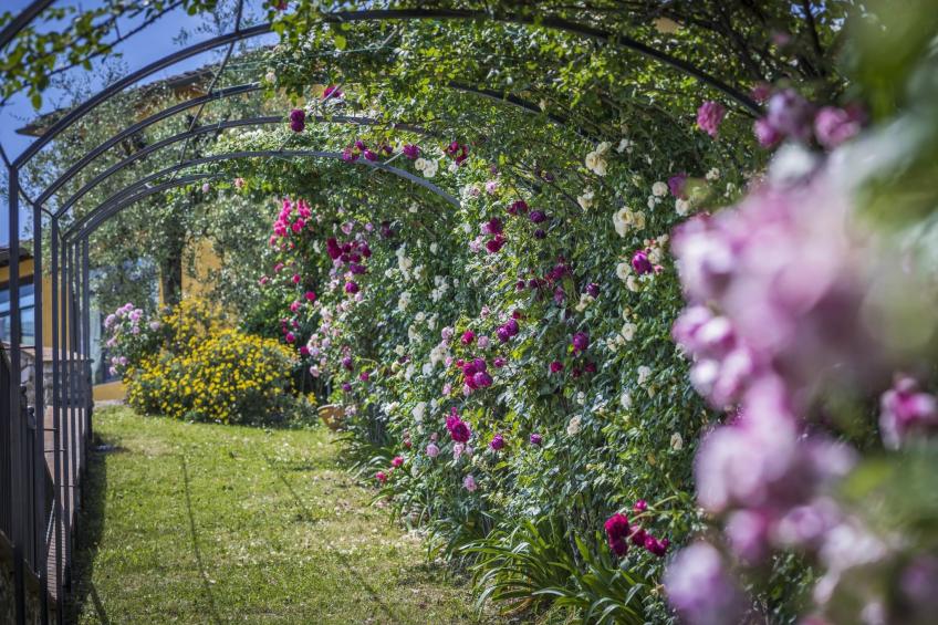 Villa 'Villa Solaria' mit privatem Pool - foto 4