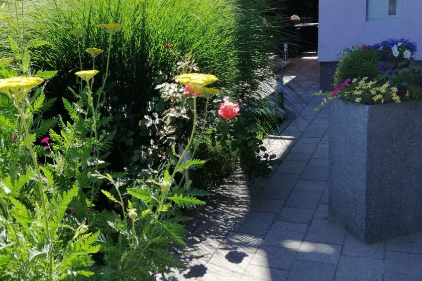 mit eigenem Garten und Terrasse - foto 7