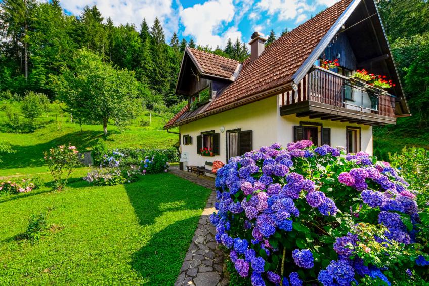 Božica - foto 2