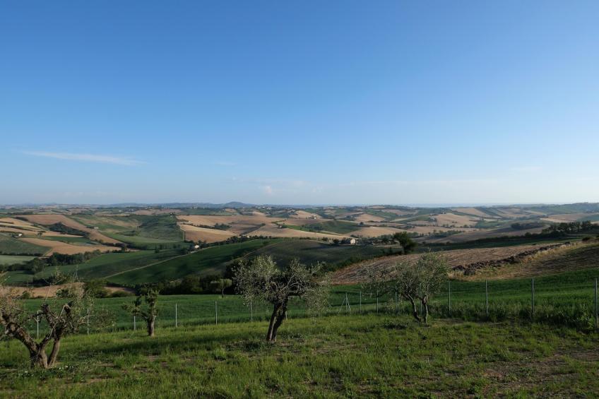 Apartment Terre Roversche - foto 15