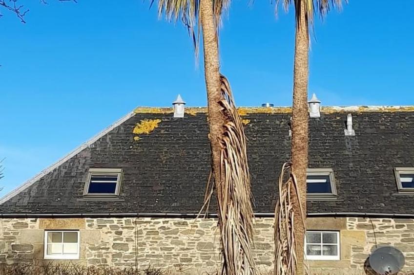 "Der Kornspeicher" mit Terrasse - foto 5