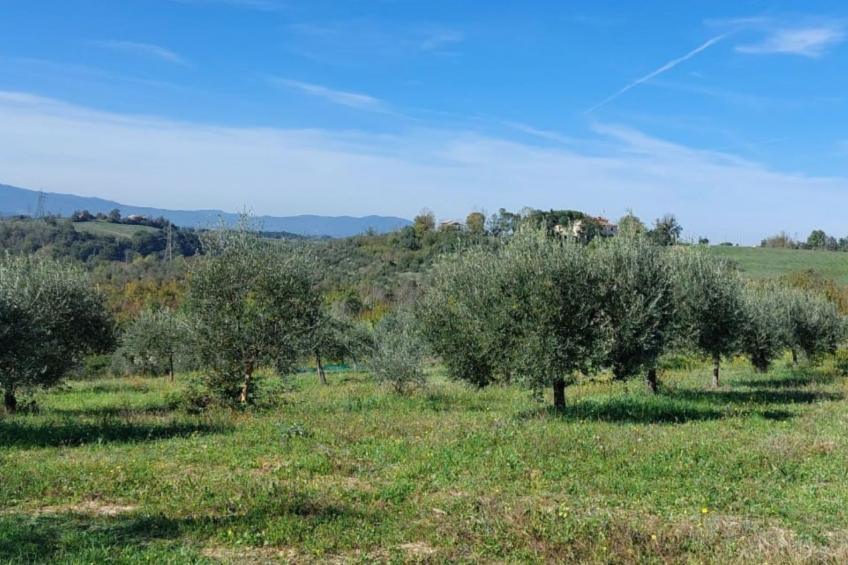 Sonnenblume Wohnung - foto 47