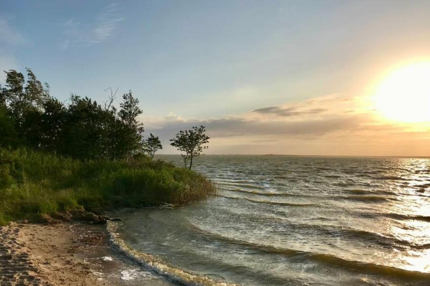 Wiesenblick 5 - foto 30