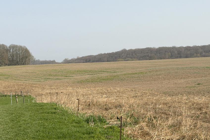 Logeren bij Laura - foto 34