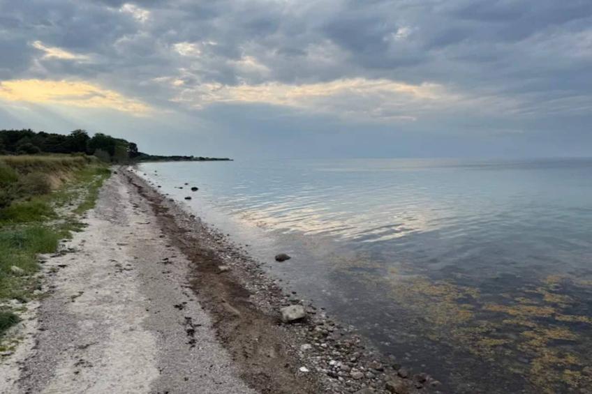 BF-ZVTNN - foto 21
