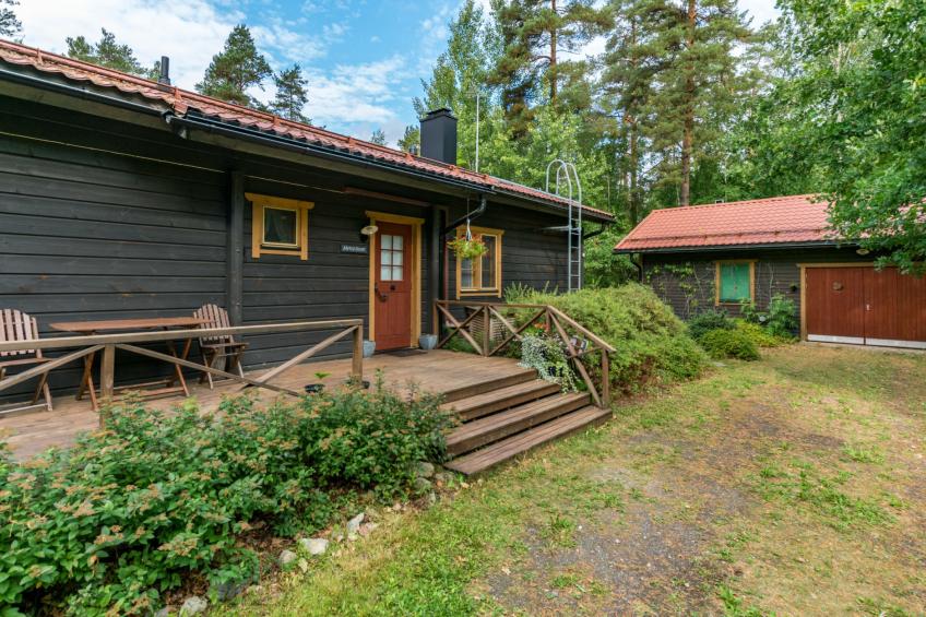 Metsä-iivari - foto 3