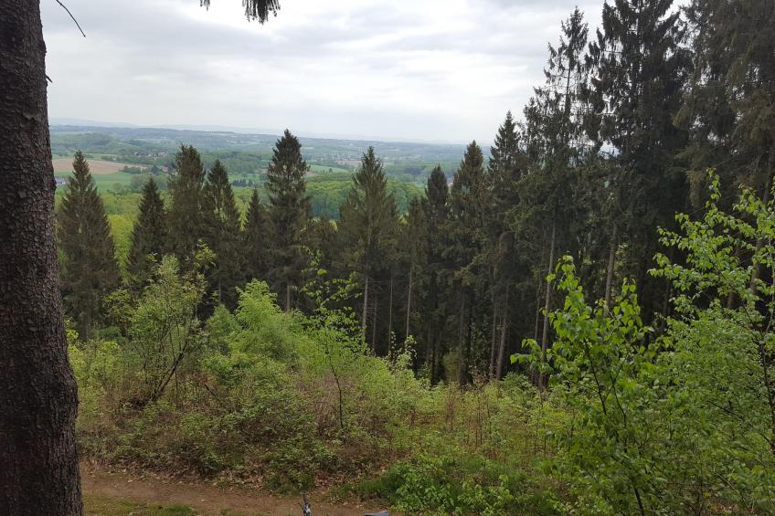 Mercure Hotel - Standard Twin Room - foto 30