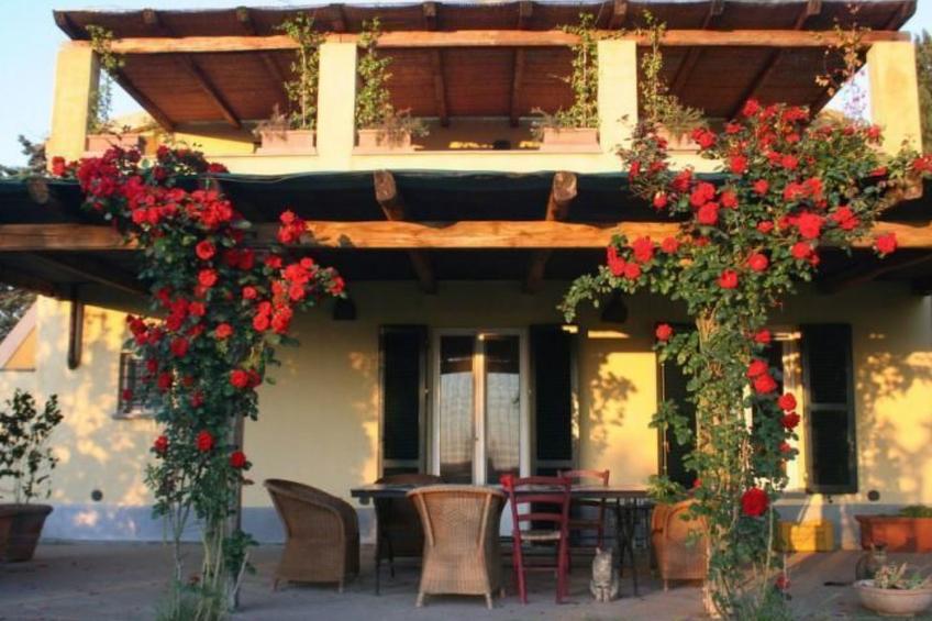 Haus in Manciano mit Terrasse, Garten und Grill - foto 2