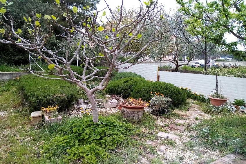 Apartments Vanja Škara Biograd - Two Bedroom Apartment with Terrace (Dvica) - foto 16