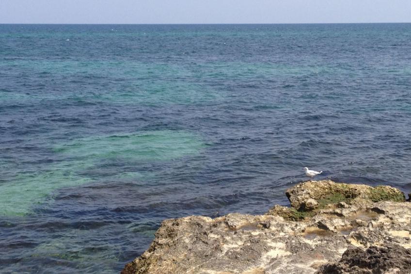 Anwesen mit privatem Garten und Grill - foto 23