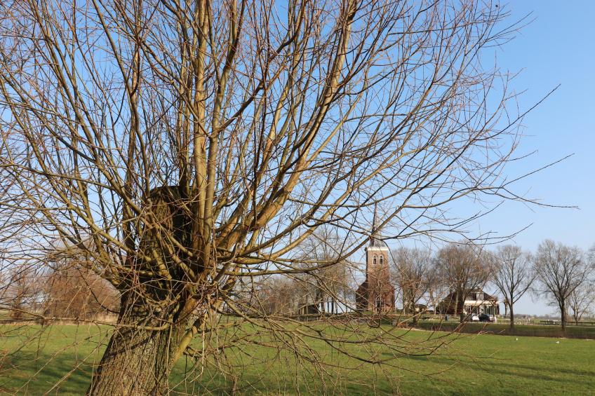 Moderne villa op het Friese platteland - foto 35
