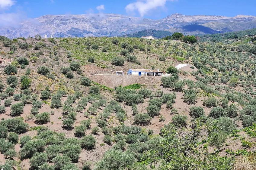 Villa Gabriel - foto 40
