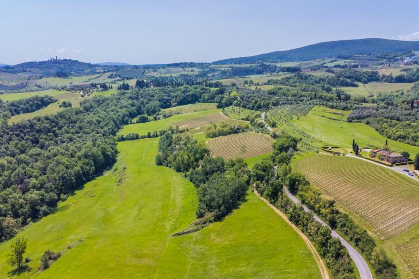 Podere di Mezzo (SGI403) - foto 36