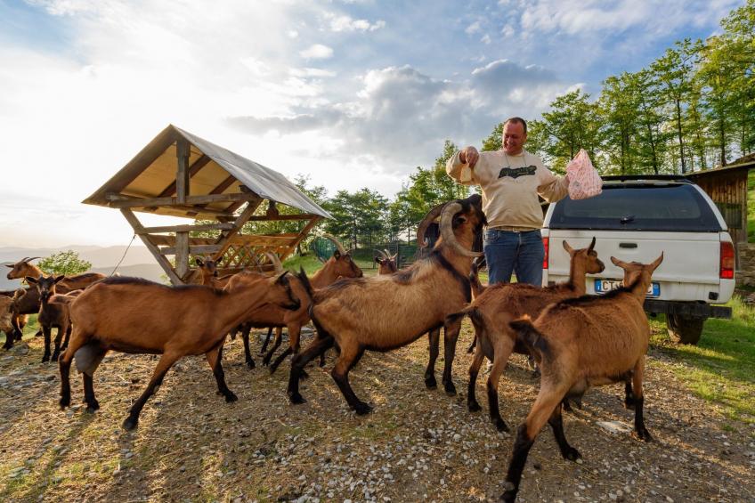 Wohnung 'Marco' mit Terrasse - foto 21