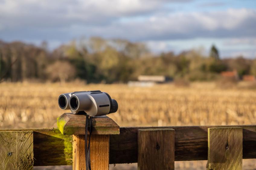 Pottles Retreat - foto 19