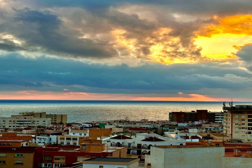 La Caracola - foto 26