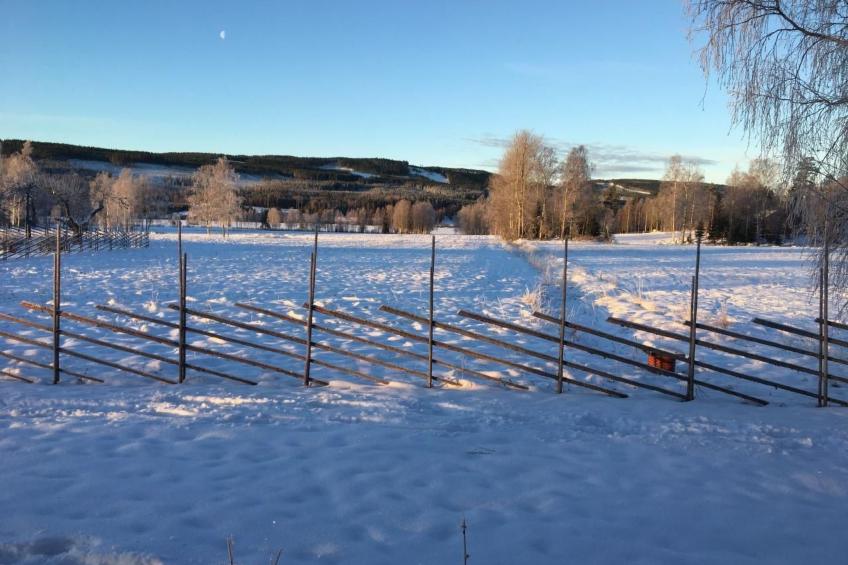 Haus Gård Solhag - foto 40