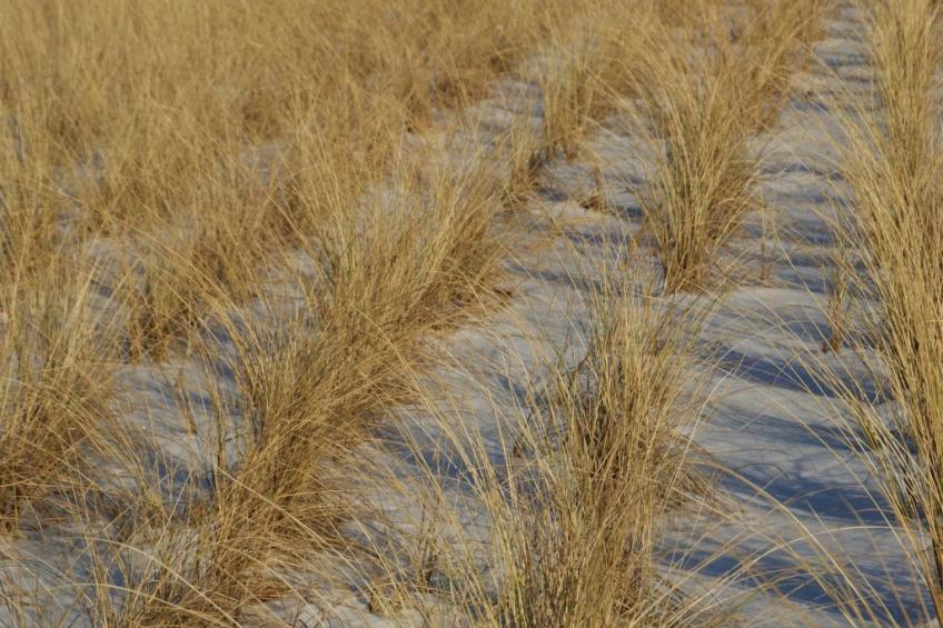 Meerestraum - foto 27