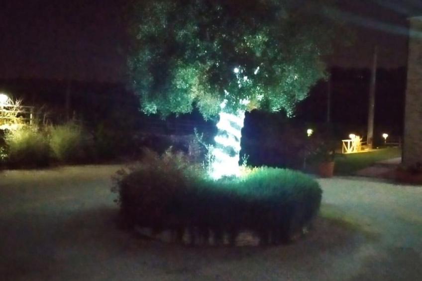 La Cascina del Poeta - foto 44