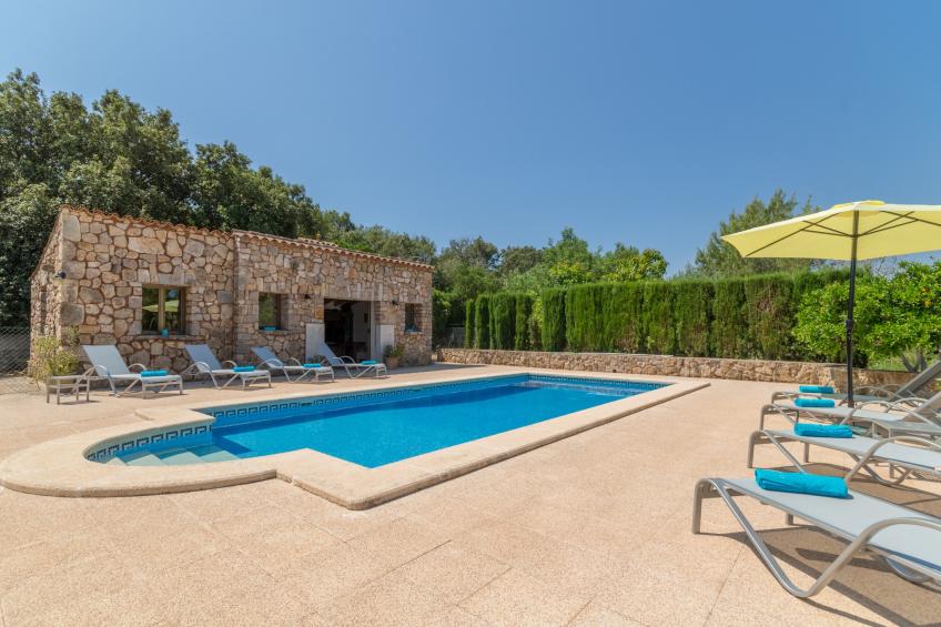 Buitre negro, Finca 5StarsHome Mallorca - foto 9