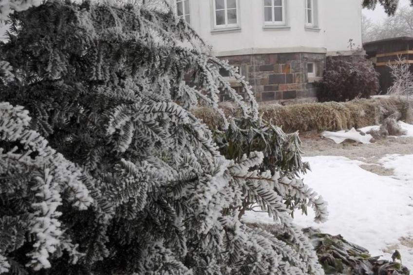 im Thüringer Wald mit Grill und Garten - foto 22