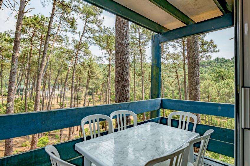 Les Cavales - foto 20