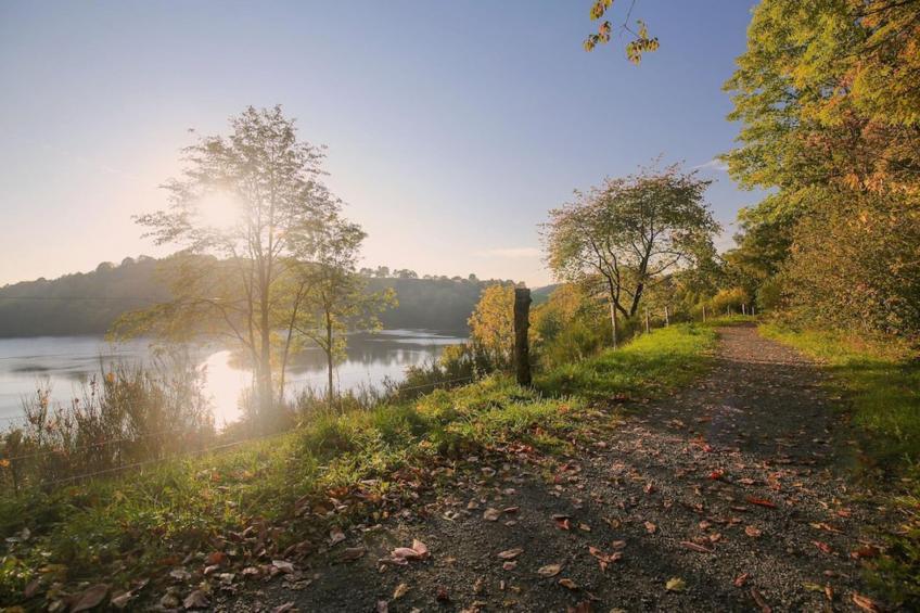 Ferienhaus Birresborn - foto 27