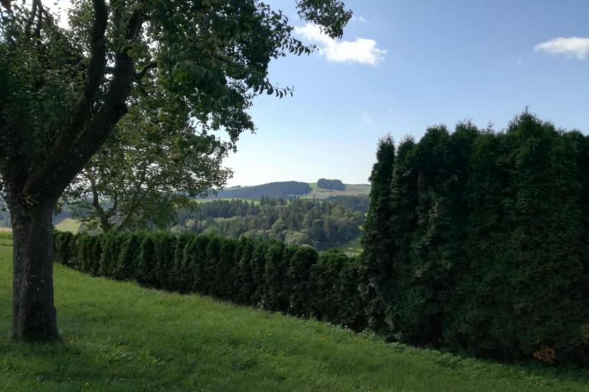 Thüringer Ferienhäuschen - foto 35