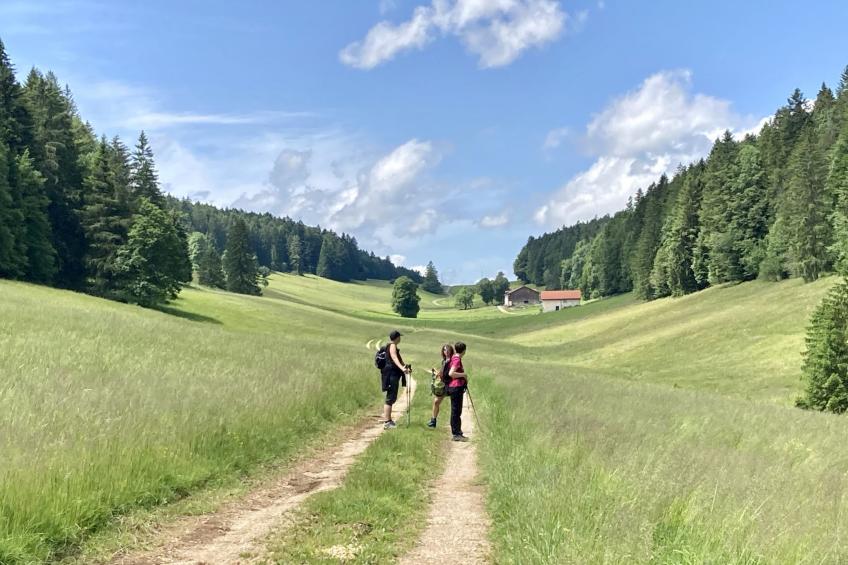 Maison de vacances - LM - foto 36