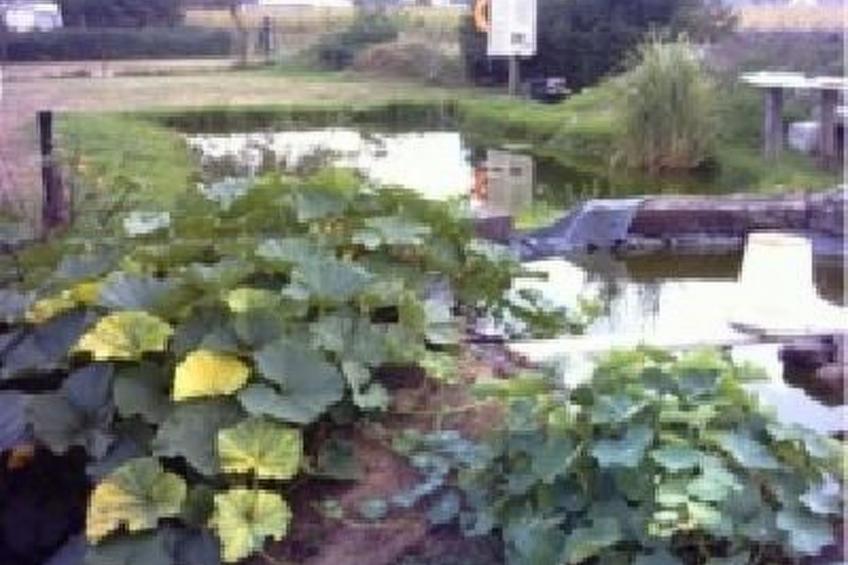 Appartement in Meiersberg mit Grill - foto 4