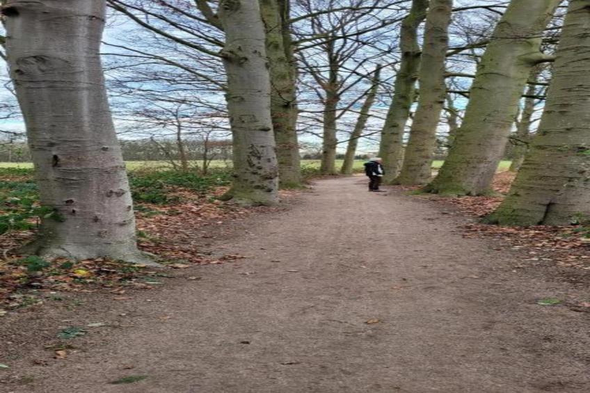 Vakantiepark 't Broeckhuys 3 - foto 25