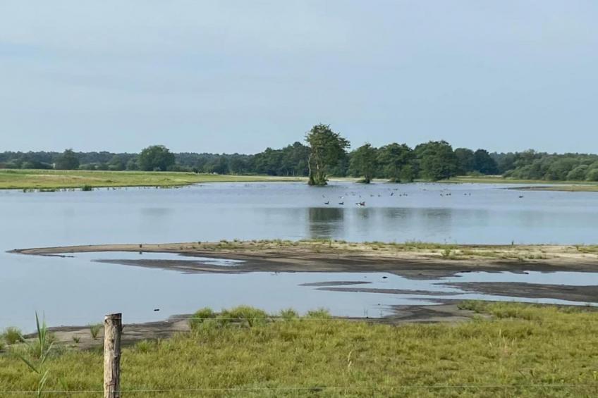 Dorpswoning Het Tolhuis - foto 39