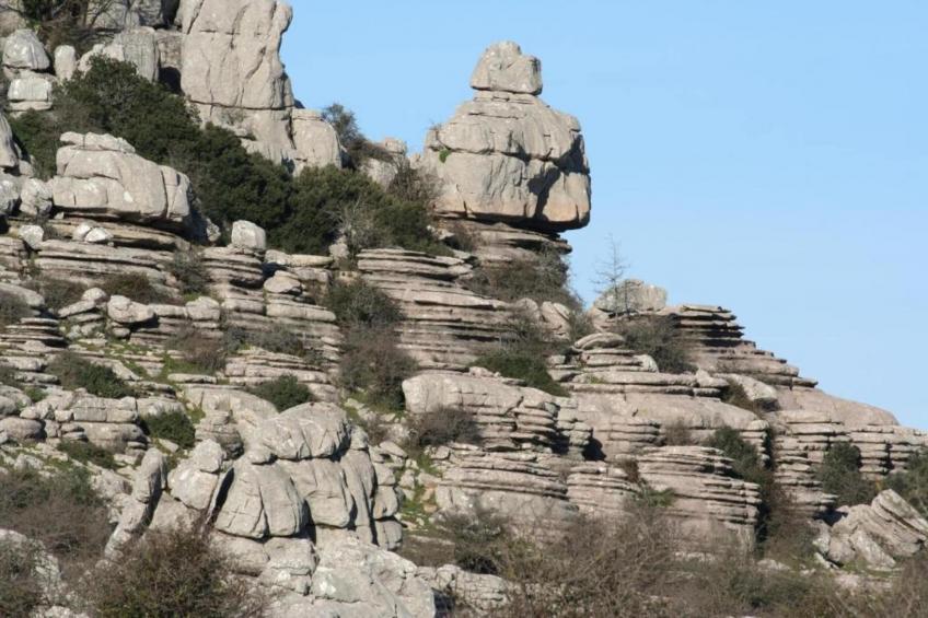 Cortijo Los Alazores - foto 37