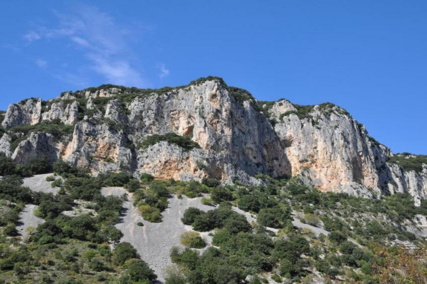 L'Oliveraie - foto 35