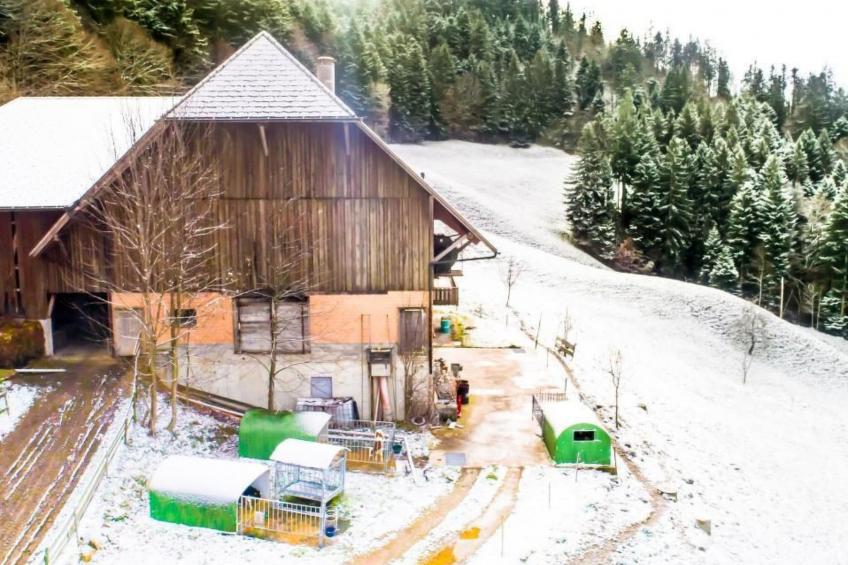 Hof Cholere - foto 18