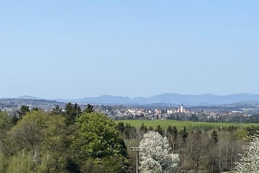 99615 - foto 34