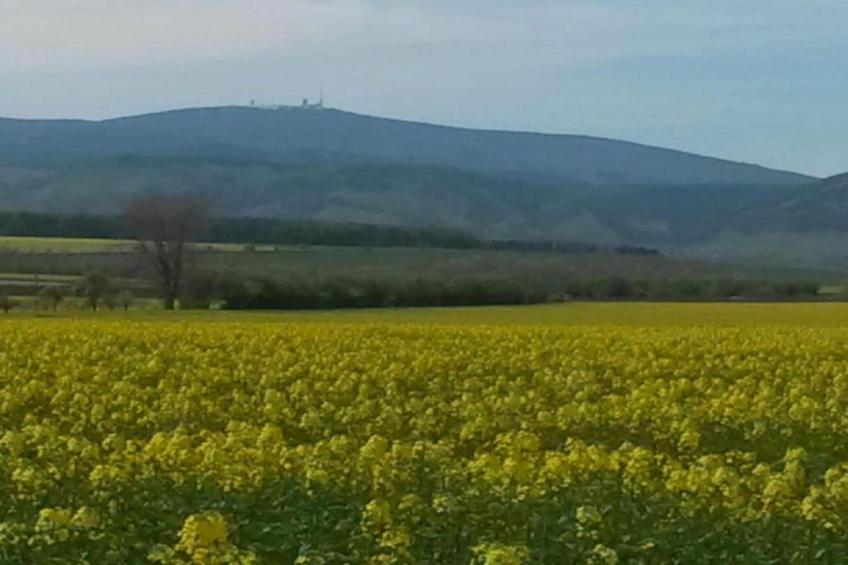 Blankenburg - foto 27