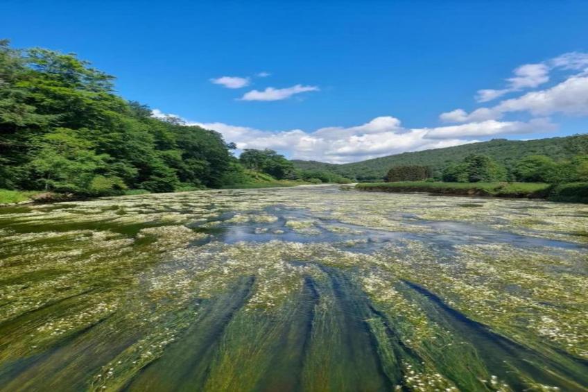 Leora Cocoon - foto 39