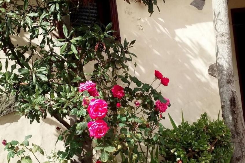 "El Laurel" - foto 26