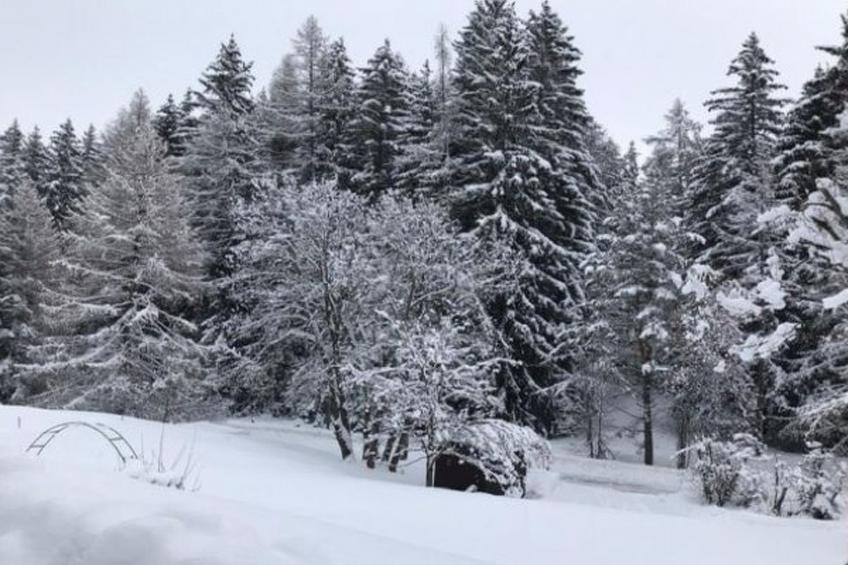Chalet Les Girolles - Anzère - foto 19