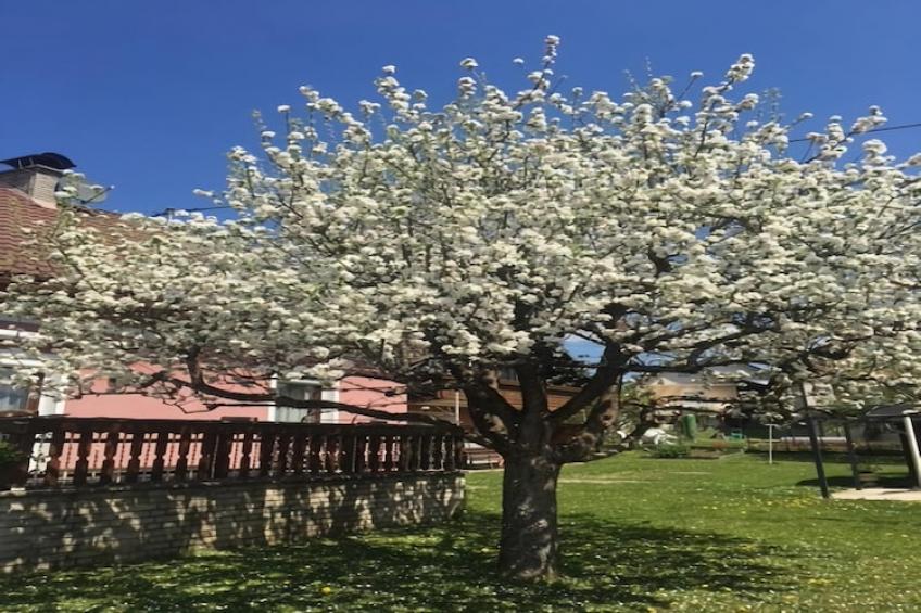 Bernadette 2 - foto 23