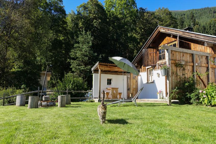 Roßweid Huette - foto 7