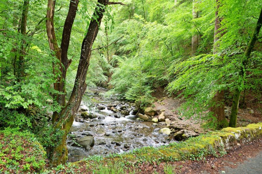 Hermon Bach - foto 25