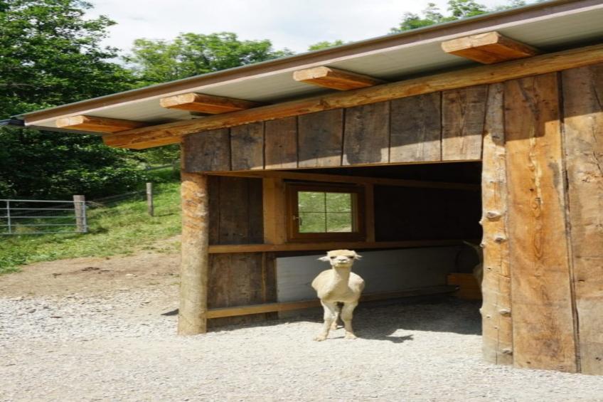 Vitalhof am Kreischberg 5 - foto 19