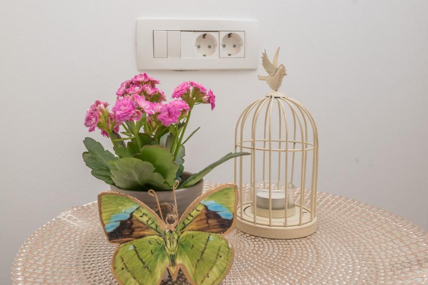 "Ivana" mit Blick auf das Wasser - foto 39