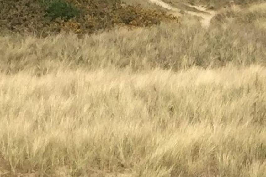 Wohnung mit Meerblick - foto 16